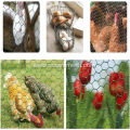 Galvanized and PVC Coated Gabions for Rabbit Cage